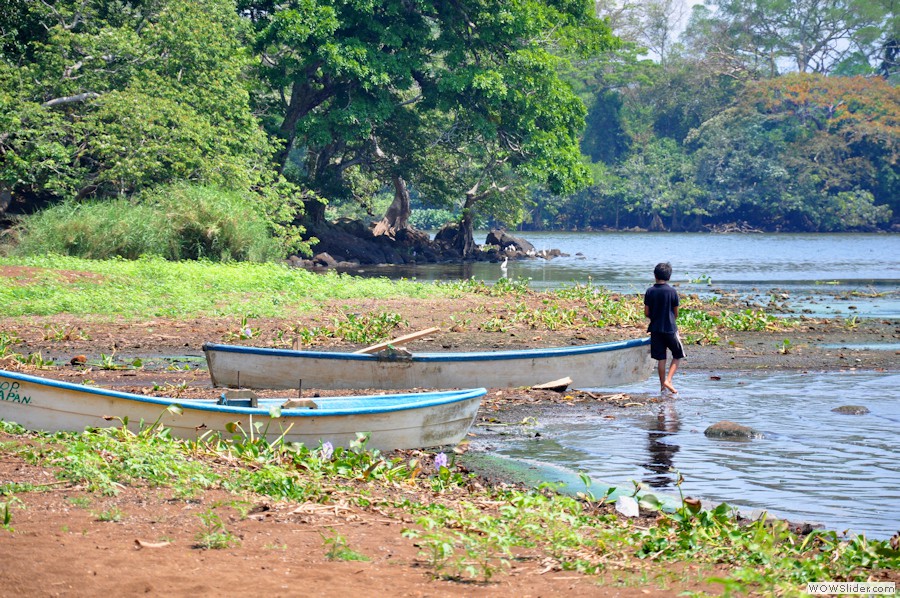 boats